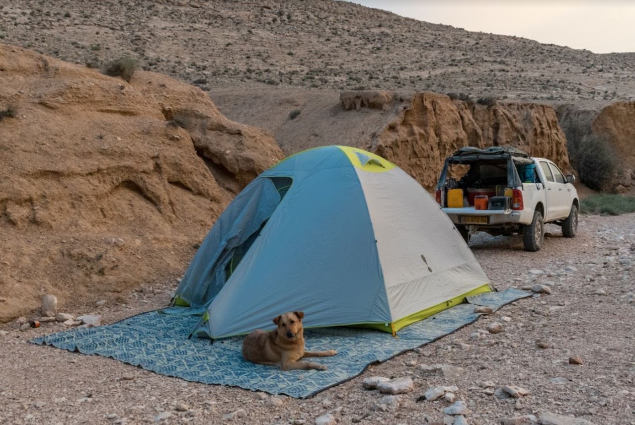 Name:  midori 6 tent.JPG
Views: 825
Size:  203.4 